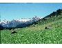 Lech 16.jpg