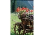 Lech 18.jpg